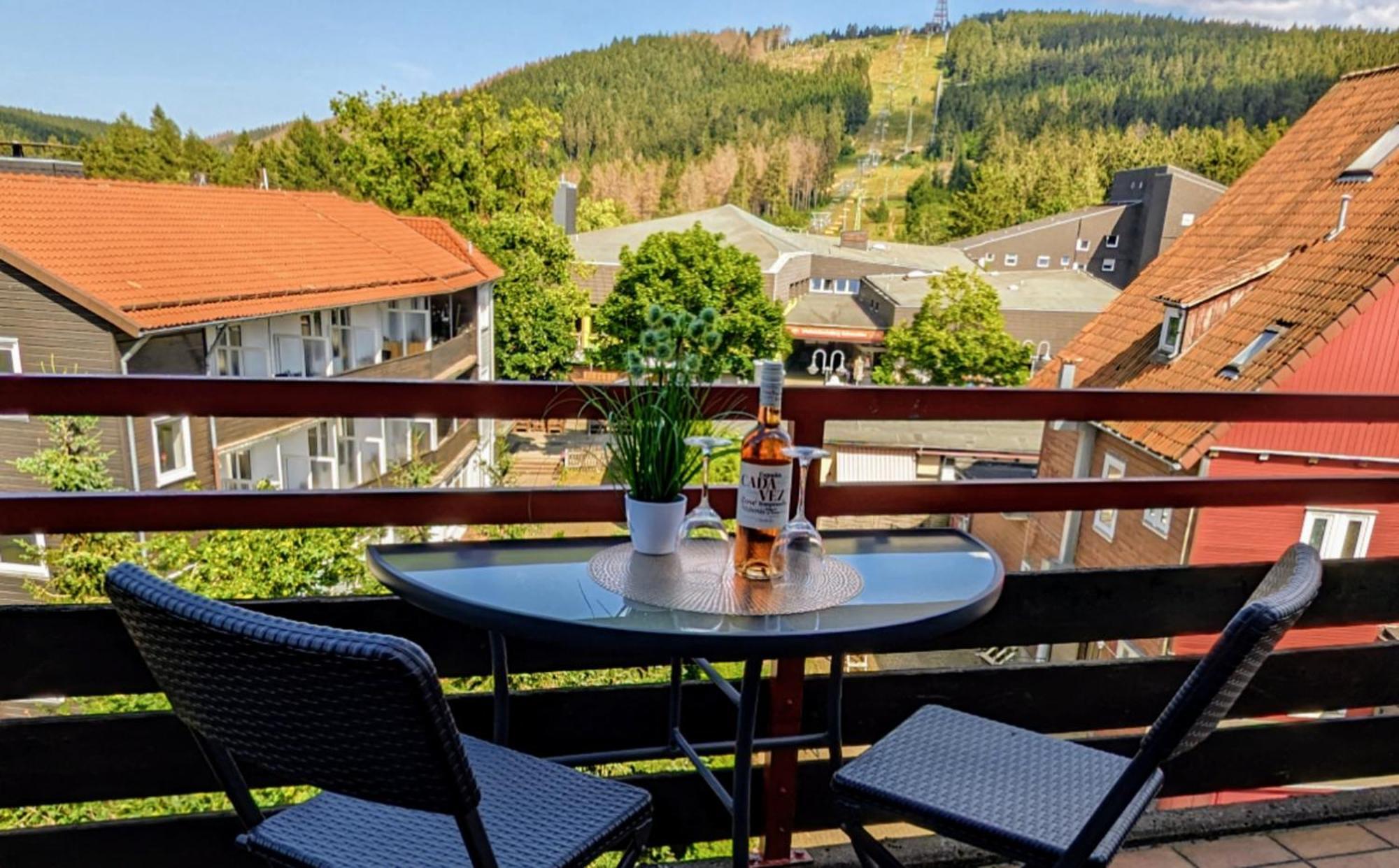 Chill Out Apartment Bergblick Goslar Eksteriør billede